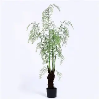 High Quality Artificial Ferns Bonsai, In Pot, 210CM